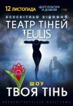 Театр Тіней TEULIS. Шоу "Твоя тінь"