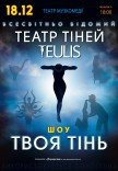 Театр Теней TEULIS. Шоу "Твоя тень"