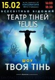 Театр Тіней TEULIS. Шоу "Твоя тінь"