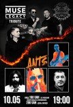 Muse Legacy Tribute та The Ants