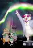 Интерактивная программа «Удивительные полярные сияния»