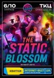 Группа The Static Blossom. Cover Show