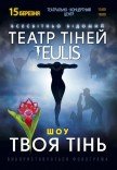 Театр Теней TEULIS. Шоу "Твоя тень"