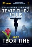 Театр Тіней TEULIS. Шоу "Твоя тінь"
