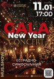 Gala New Year Concert