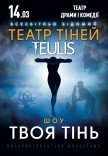 Театр Теней TEULIS. Шоу «Твоя тень»
