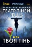 Театр Теней TEULIS. Шоу "Твоя тень"