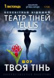 Театр Теней TEULIS. Шоу "Твоя тень"