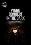 PIANO FOUR HANDS IN THE DARK