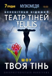 Театр Тіней TEULIS. Шоу "Твоя тінь"