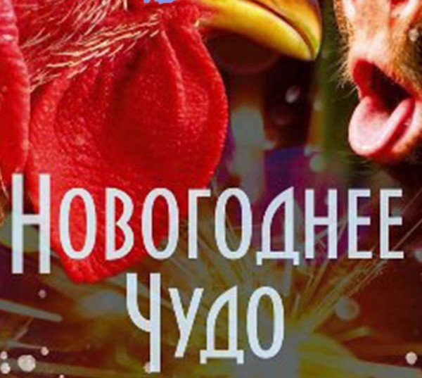 Открыта продажа в цирк Одессы