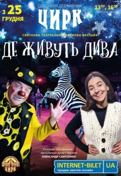 Цирк "Где живут чудеса"